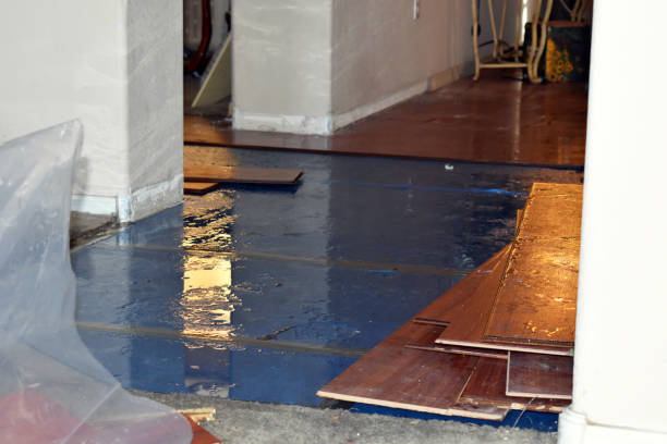 Professional Water Damage Restoration technician working in Lesage, WV